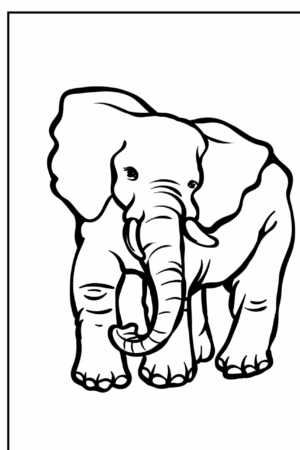 Elefante para colorir, com traços grossos.