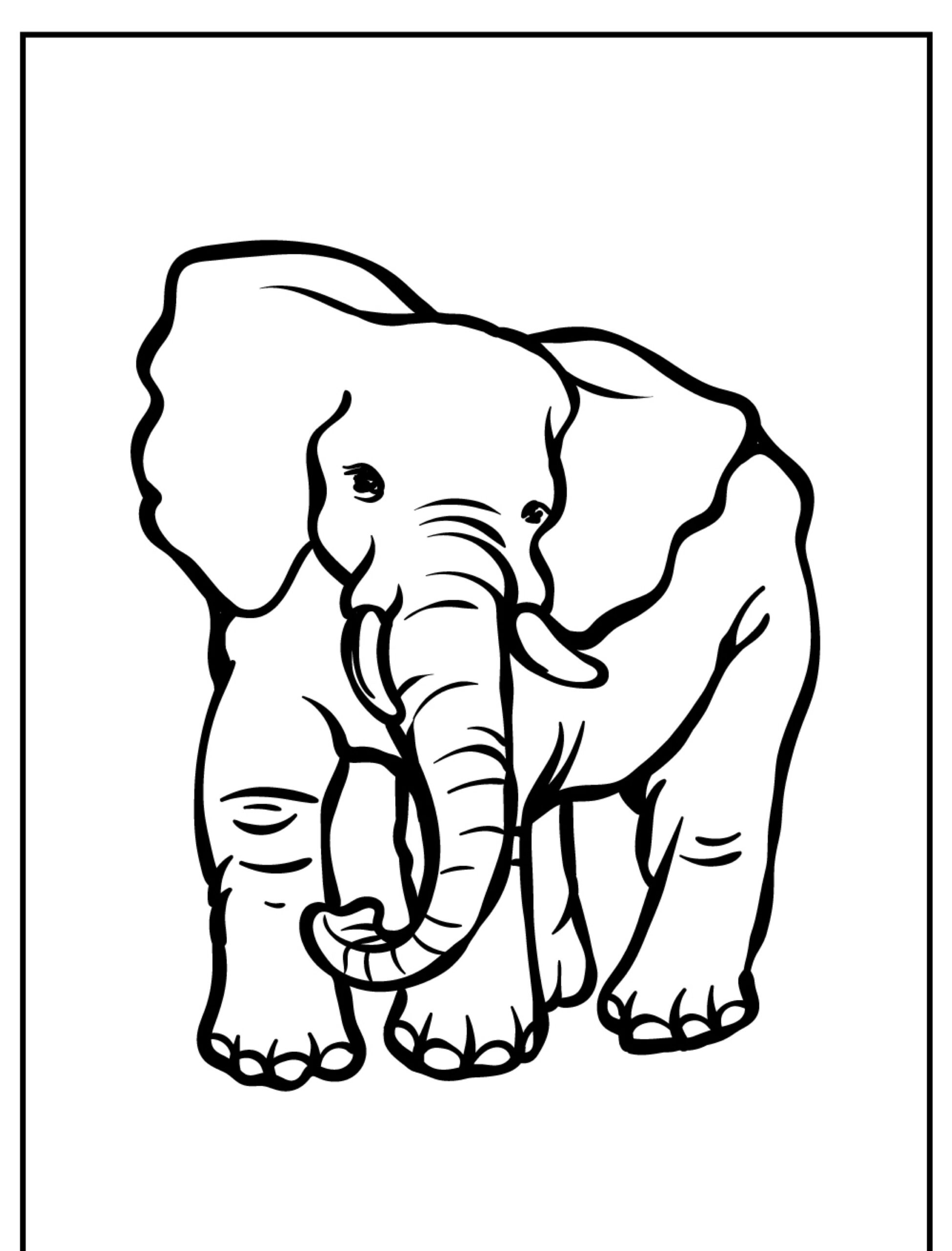 Elefante para colorir, com traços grossos.