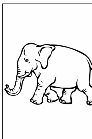 Elefante desenhado com contornos nítidos para colorir.