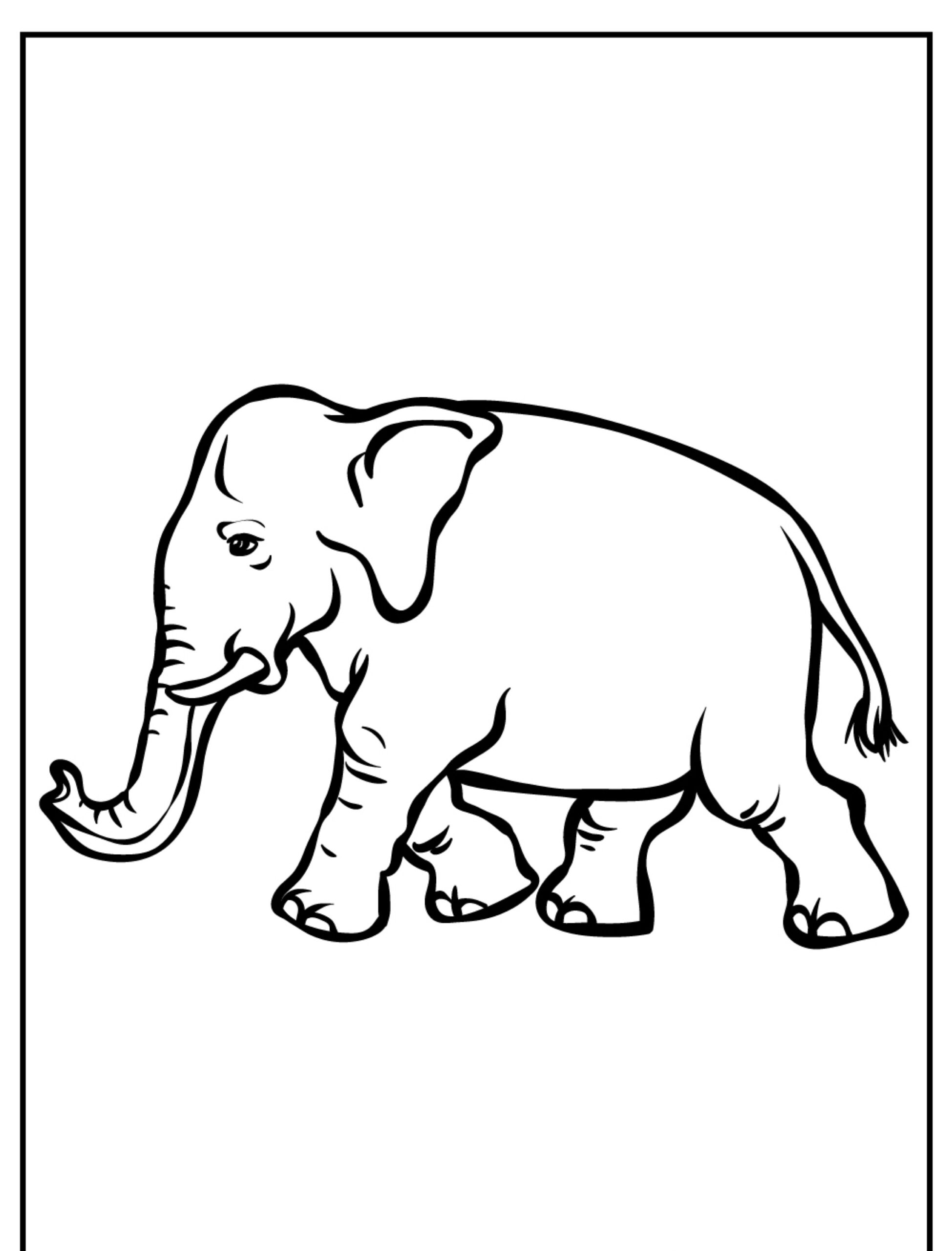 Elefante desenhado com contornos nítidos para colorir.