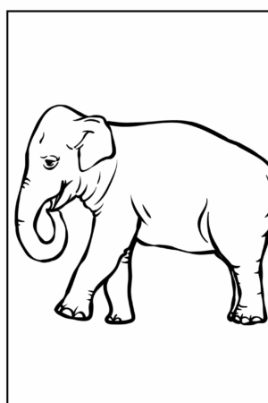 Desenho para colorir de elefante com borda contínua.