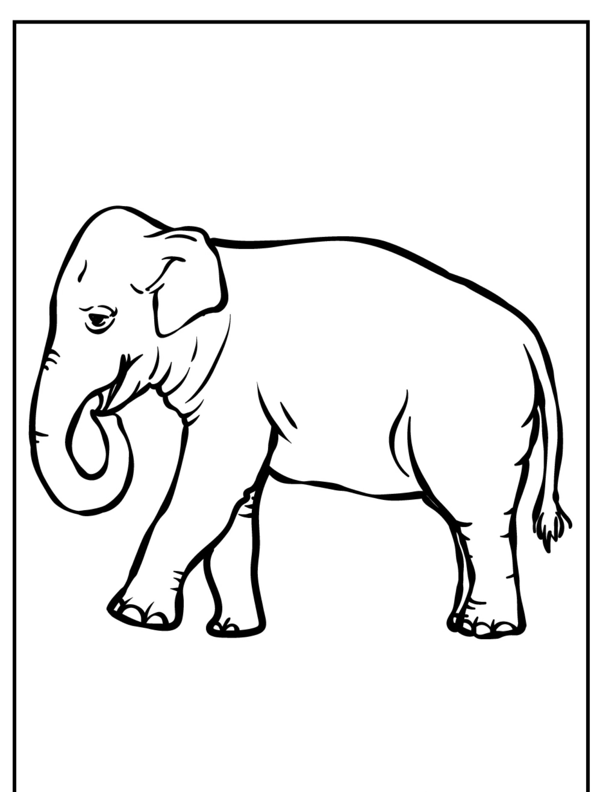 Desenho para colorir de elefante com borda contínua.