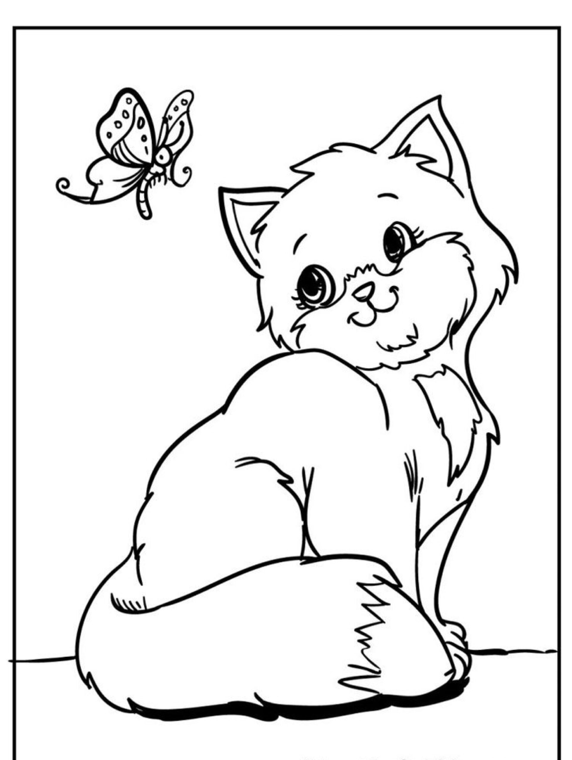 Um gato fofo e peludo olha para uma borboleta nesta ilustração em preto e branco. Para colorir