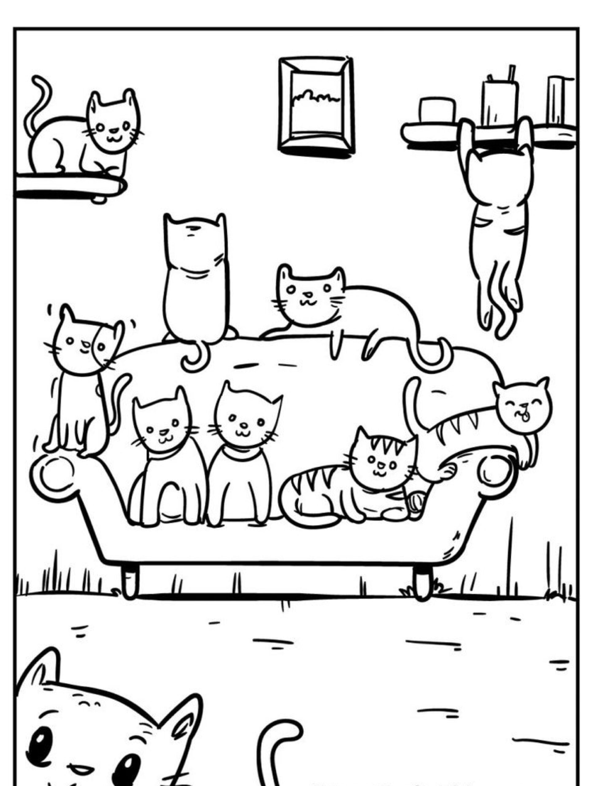 Um grupo de nove gatos brincalhões em várias poses em cima e ao redor de um sofá, com um gato pendurado em uma prateleira.