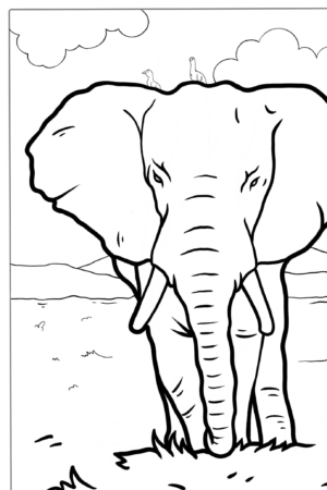 Desenho para colorir de elefante com pássaros no fundo.