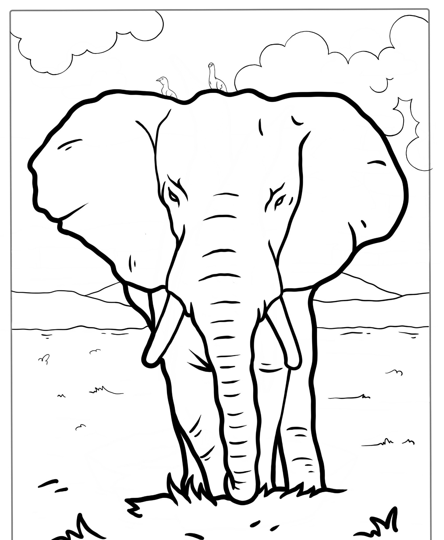 Desenho para colorir de elefante com pássaros no fundo.