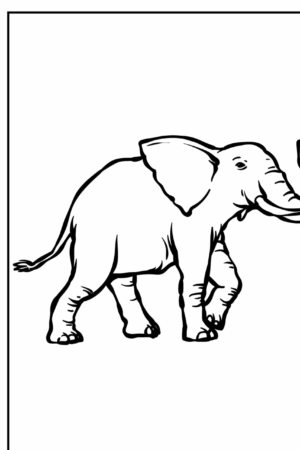 Elefante caminhando, desenho para colorir, elefante com tromba levantada.