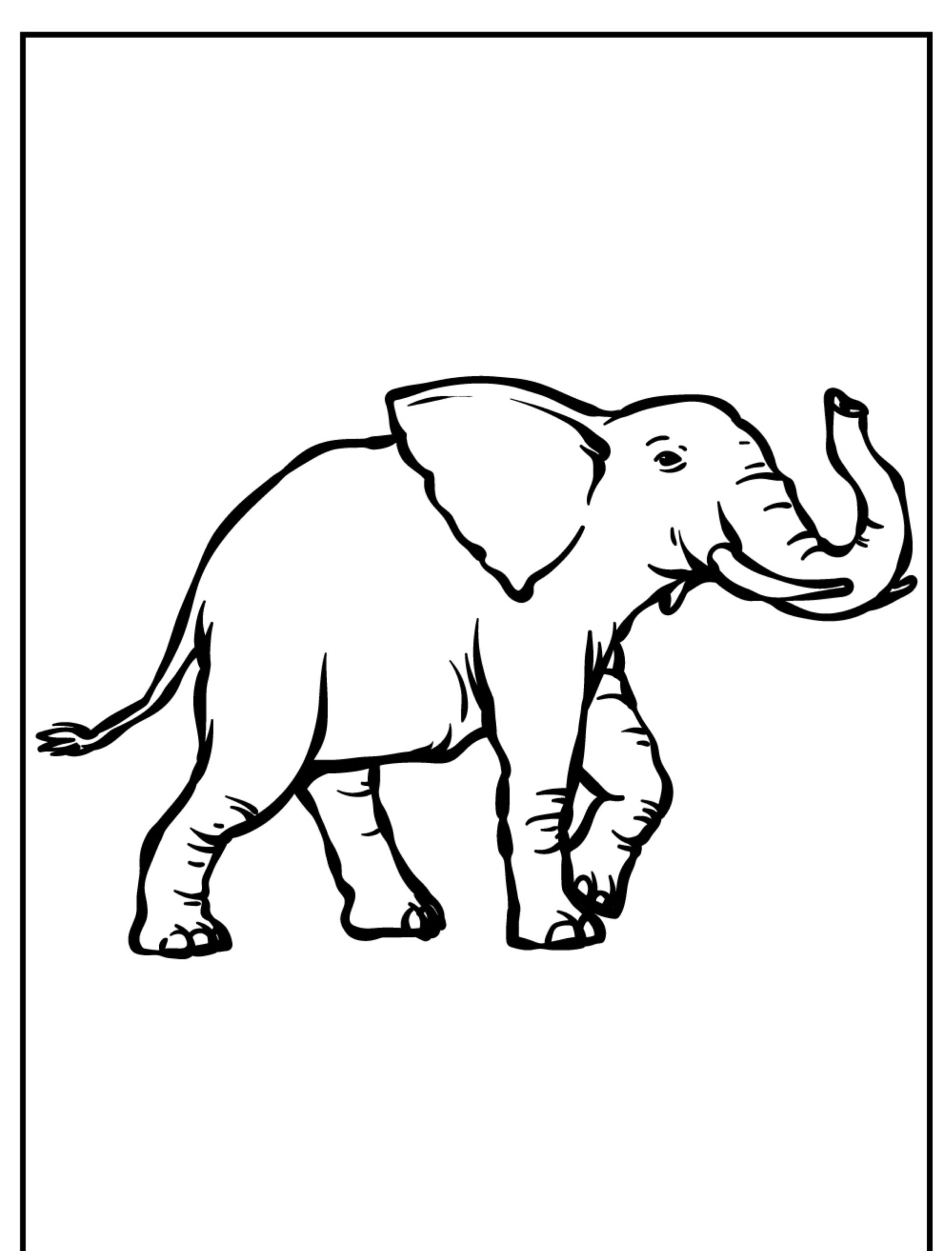 Elefante caminhando, desenho para colorir, elefante com tromba levantada.