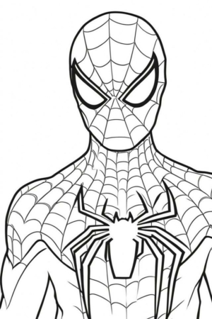 Desenho para colorir do Homem-Aranha com detalhes da teia.