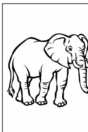 Desenho de um elefante para colorir, contornos grossos.