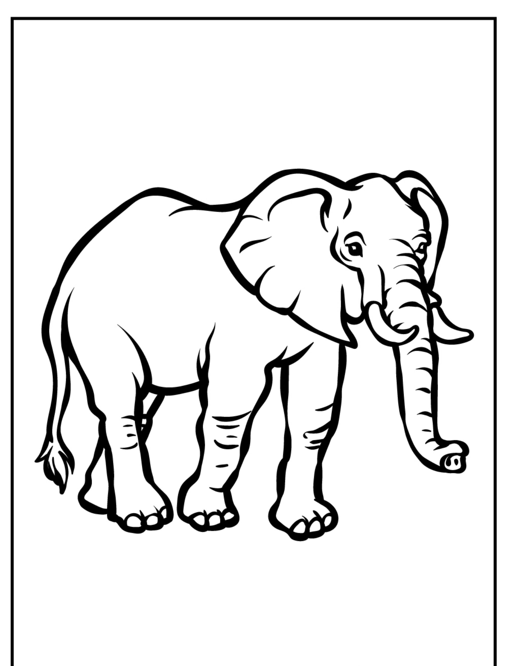 Desenho de um elefante para colorir, contornos grossos.