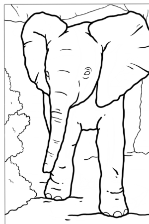 Elefante em pé, para colorir, com grandes orelhas.