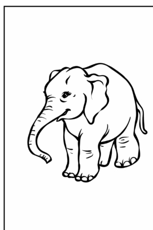 Desenho de elefante para colorir, contorno preto simples.