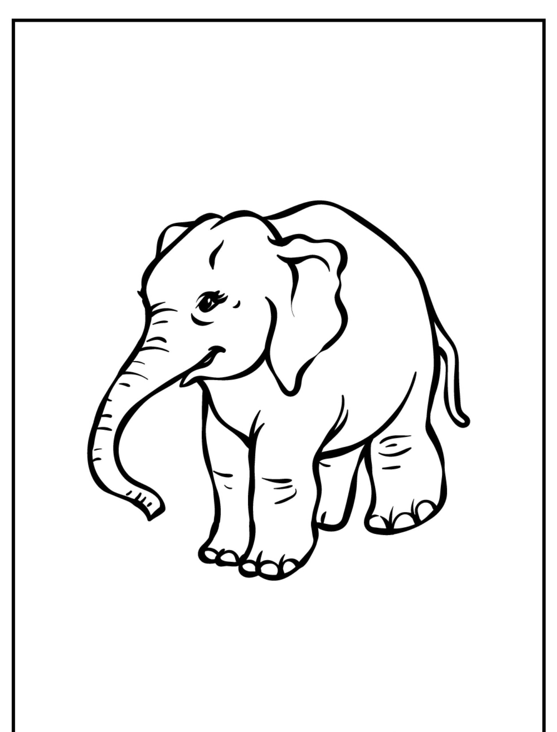 Desenho de elefante para colorir, contorno preto simples.