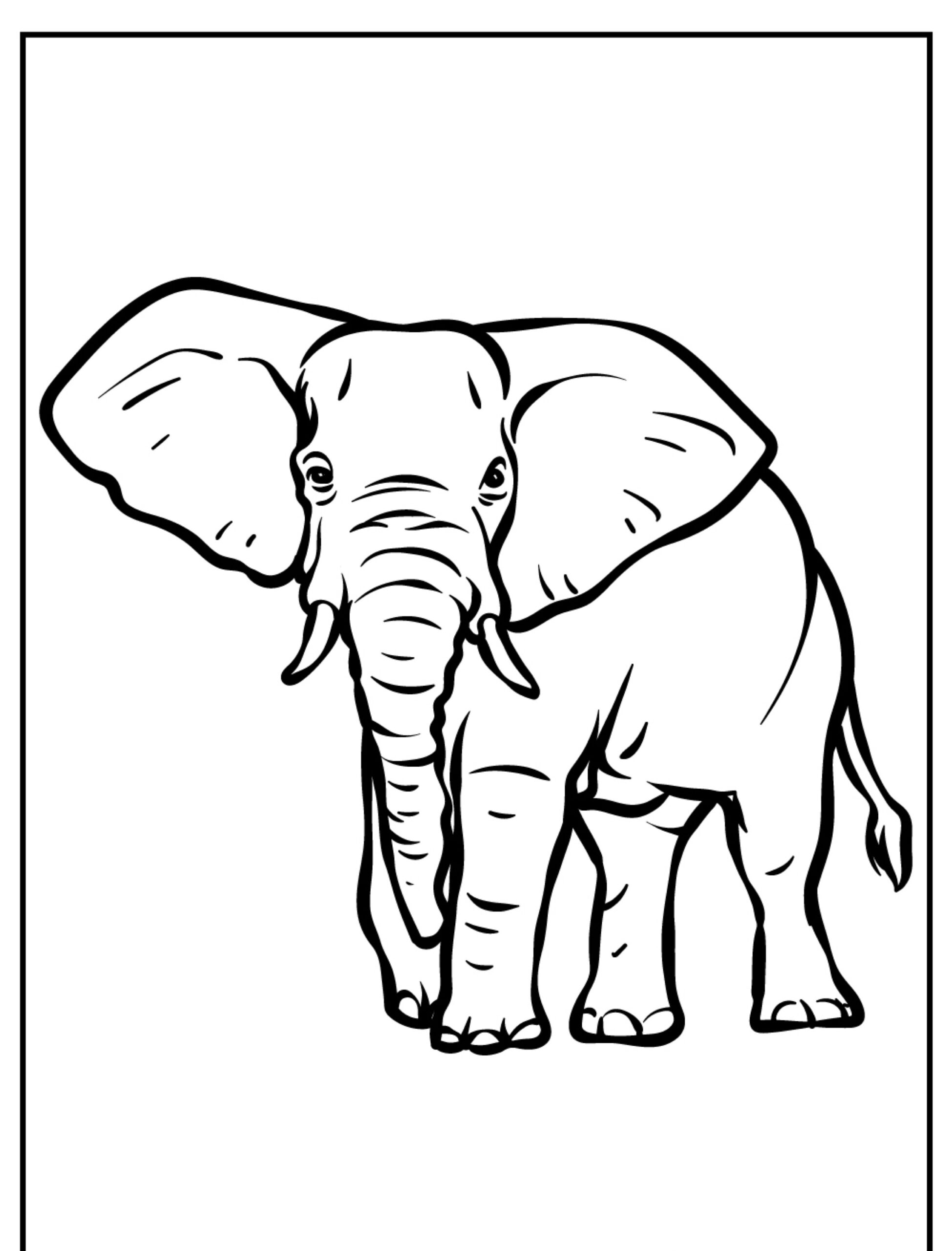 Desenho de um elefante com grandes orelhas para colorir.