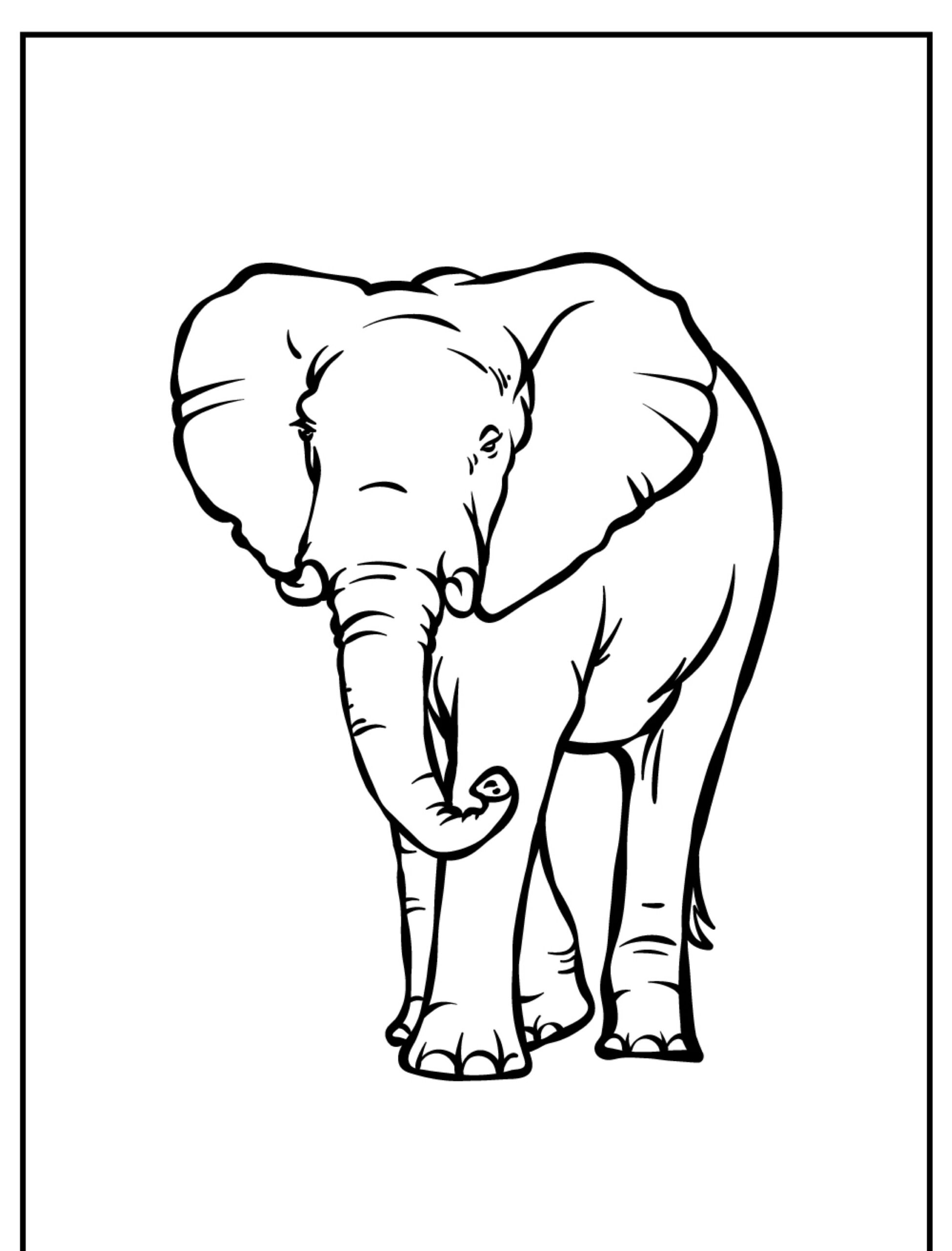 Desenho para colorir de um elefante de frente com tromba curva.