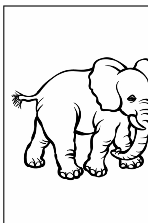 Desenho de elefante para colorir, com linhas contornadas bold.