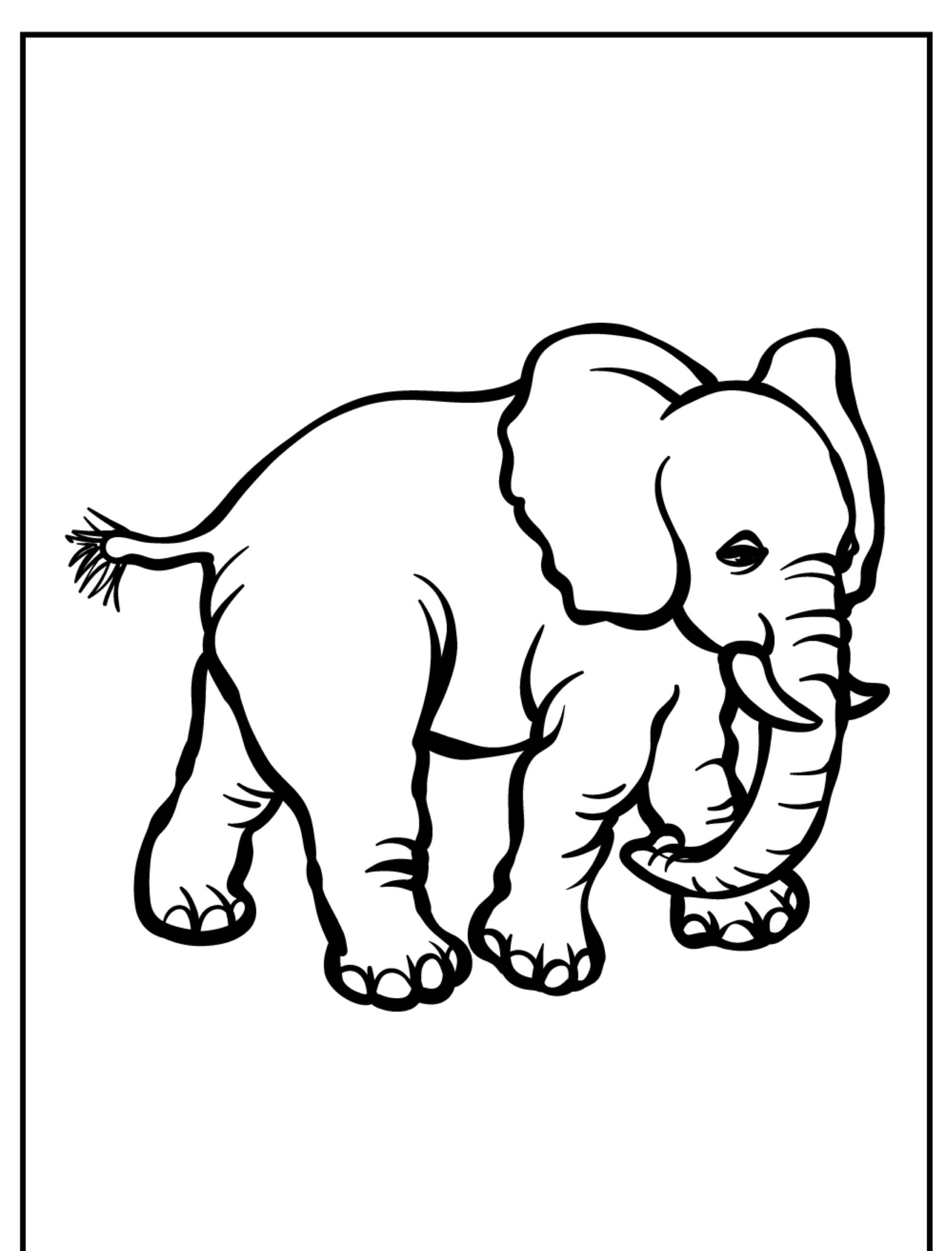 Desenho de elefante para colorir, com linhas contornadas bold.