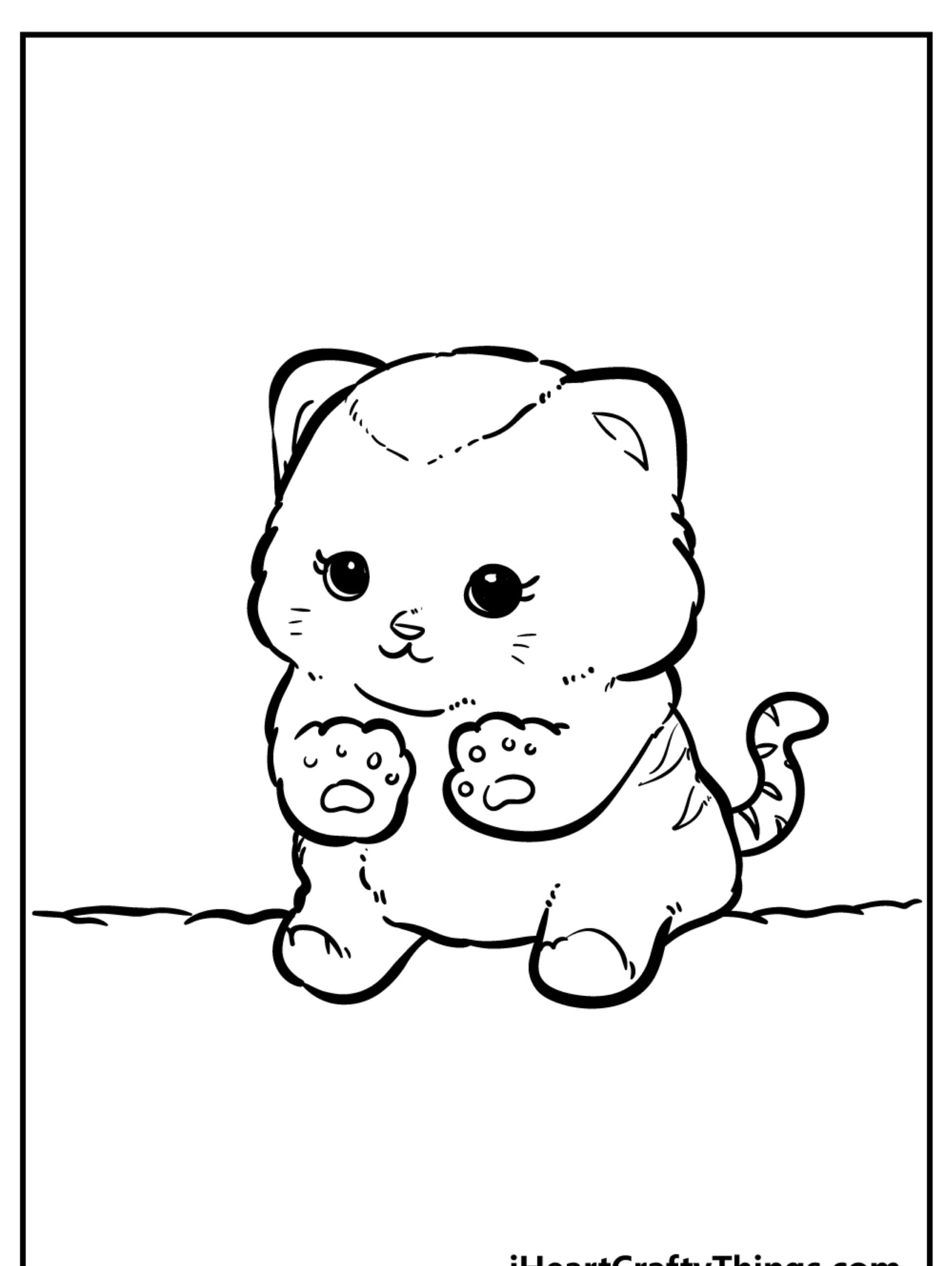 Ilustração em preto e branco de um gatinho fofo e gordinho sentado com as patas dianteiras levantadas. O gatinho tem olhos redondos, orelhas pequenas e um rabo enrolado. Para colorir