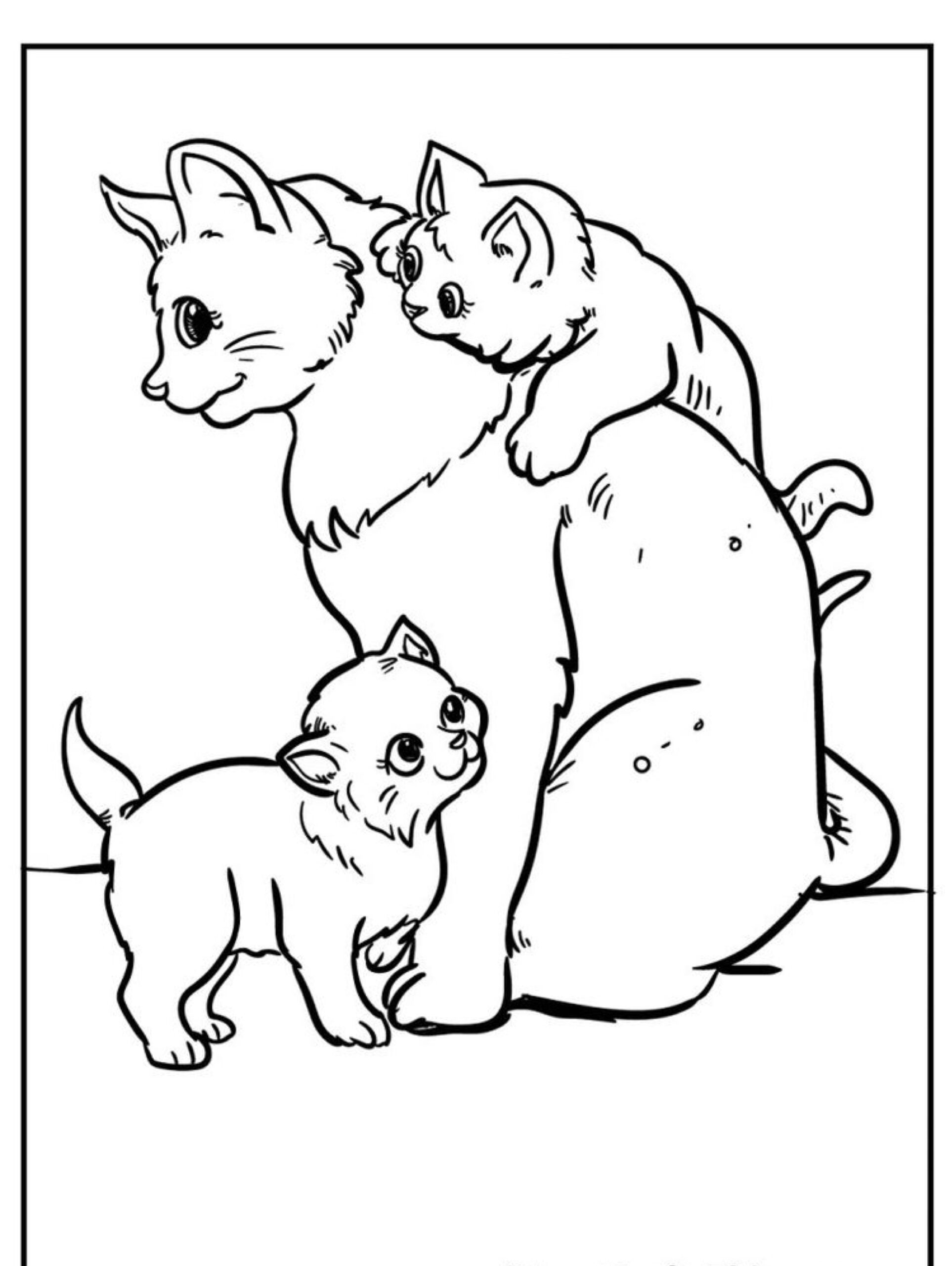 Um desenho simples em preto e branco de um gato sentado com dois gatinhos: um em pé na frente dele e o outro subindo em suas costas. Para colorir