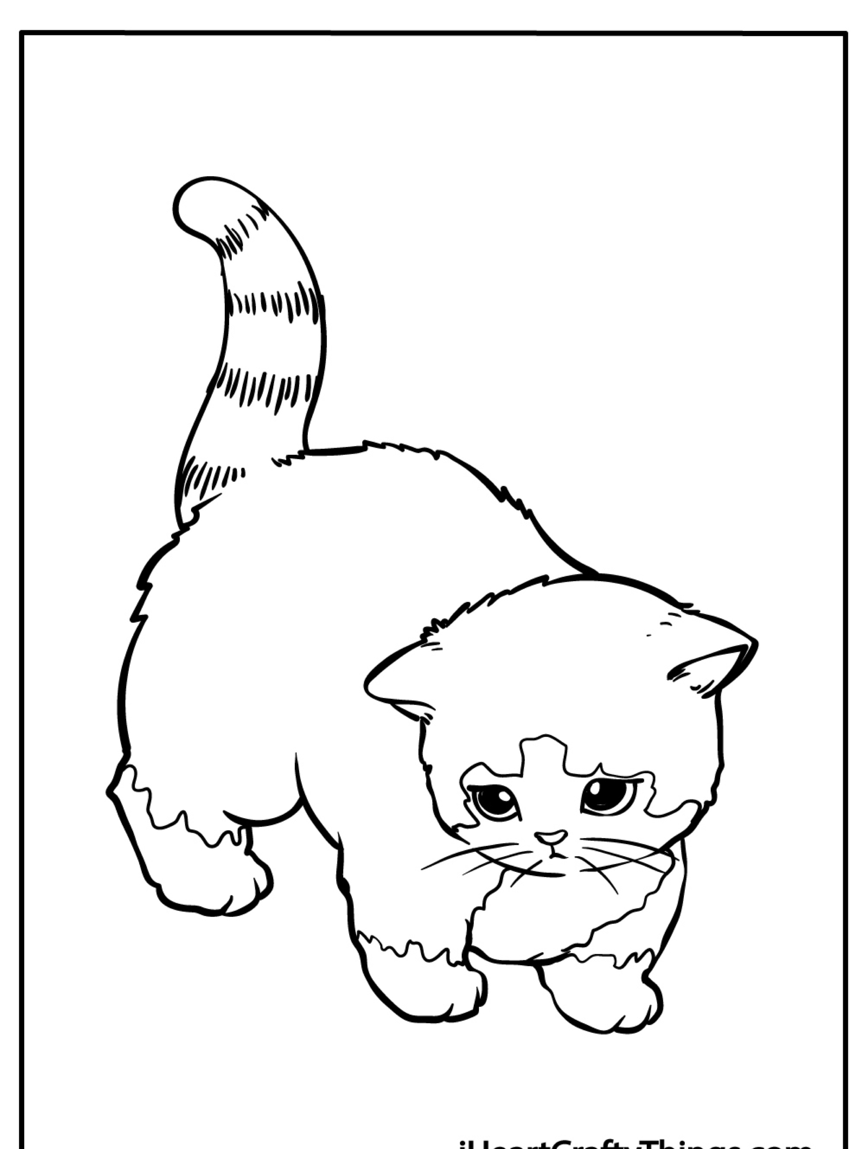 Desenhos de Gatinho fofinho triste Para Colorir