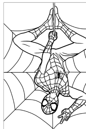 Desenho para colorir de super-herói de cabeça para baixo em teia de aranha.