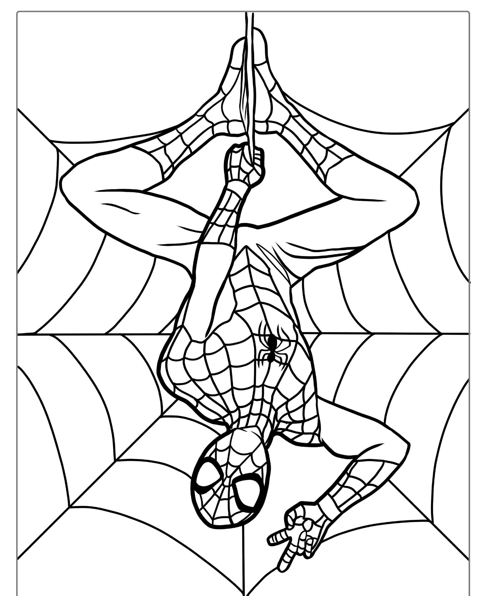 Desenho para colorir de super-herói de cabeça para baixo em teia de aranha.