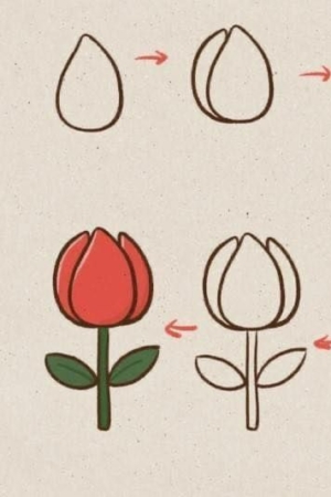 Guia de desenho passo a passo para uma tulipa, começando com um esboço simples e terminando com uma tulipa colorida. Perfeito para quem ama Desenhos e quer aprender a desenhar lindas flores.