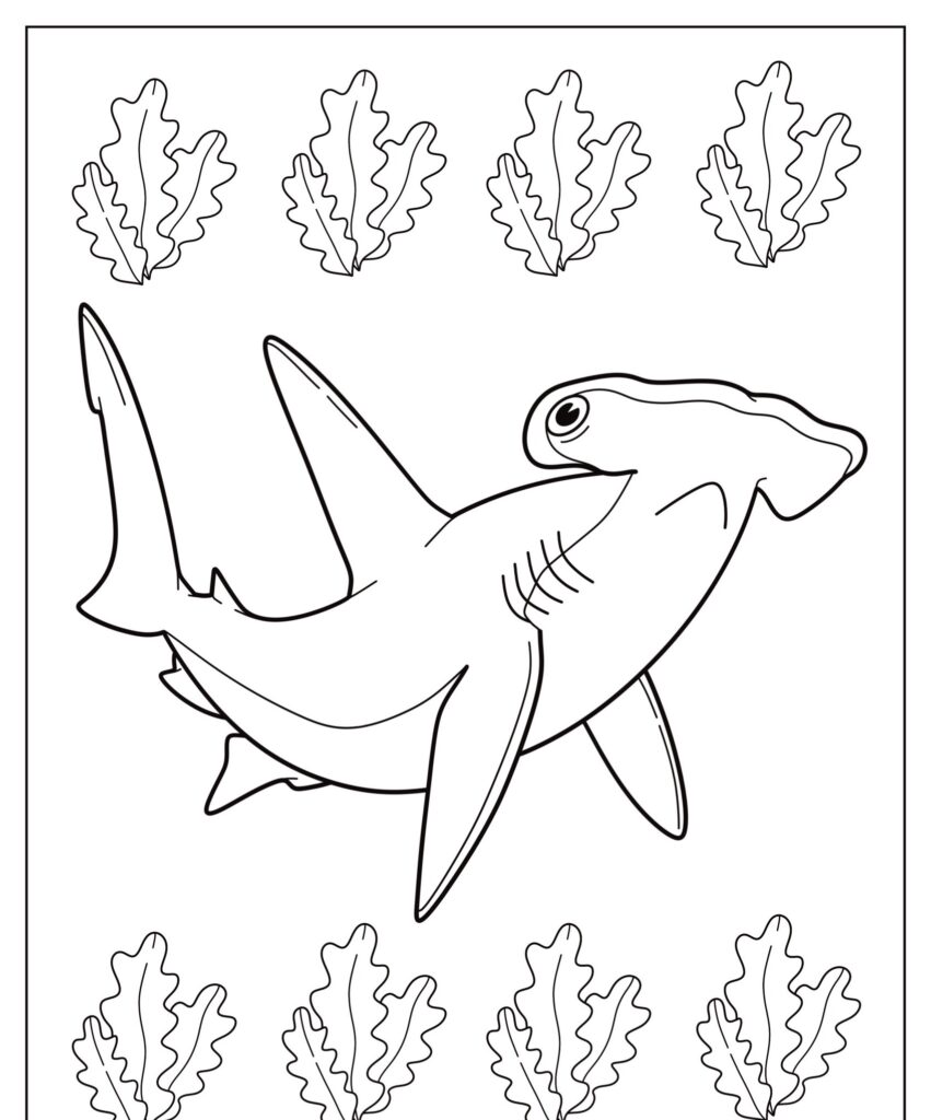 Colorir desenho de tubarão-martelo nadando entre algas marinhas, cercado por contornos de algas em todos os lados.