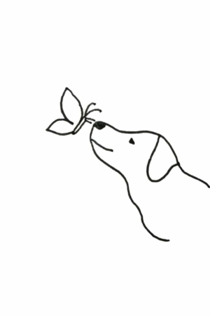 Para desenhar - Desenho simples do rosto de um cachorro com uma borboleta pousada em seu nariz, capturando a beleza neste estilo "Desenhar Fácil".