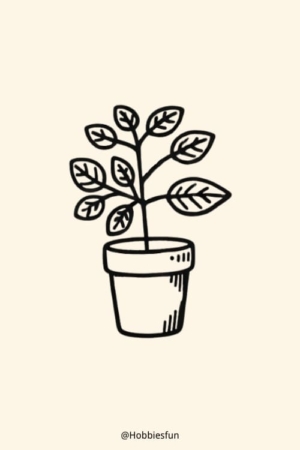 Para desenhar - Esboço simples em preto e branco de um vaso de planta com várias folhas. O texto na parte inferior diz "@Hobbiesfun". Fácil e bonito, perfeito para quem procura Desenhos Para Desenhar.