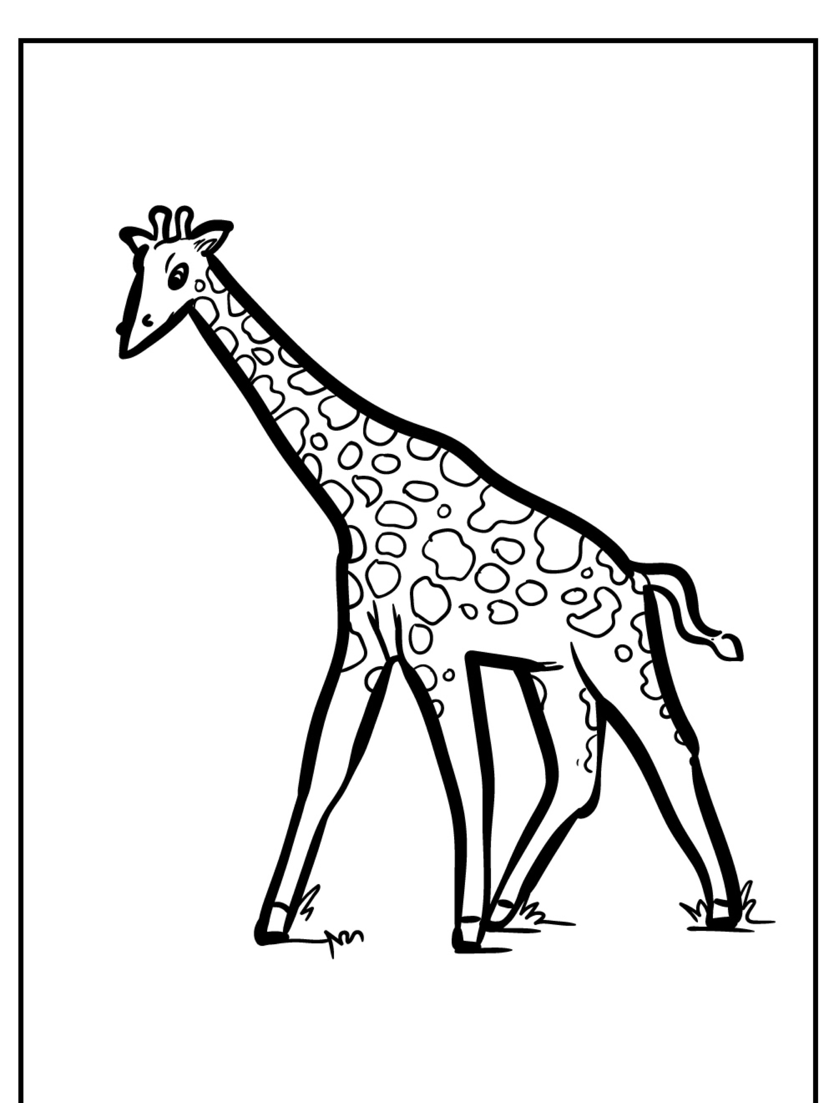 Um desenho simples em preto e branco de uma girafa para colorir em pé com pouca grama ao redor dos pés.