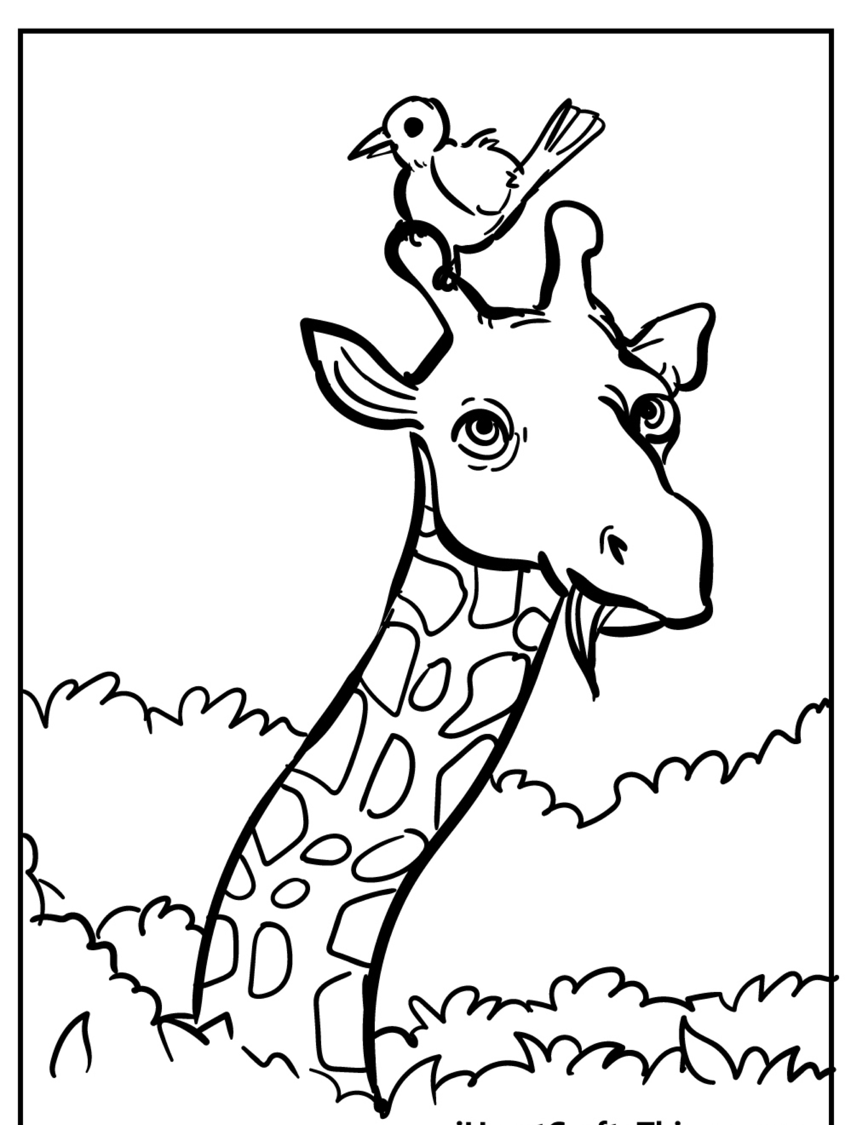 Uma girafa com folhas na boca, e um pássaro empoleirado na cabeça, cercado por arbustos. Desenho de Girafa em desenho de linha preto e branco, pronto para colorir.