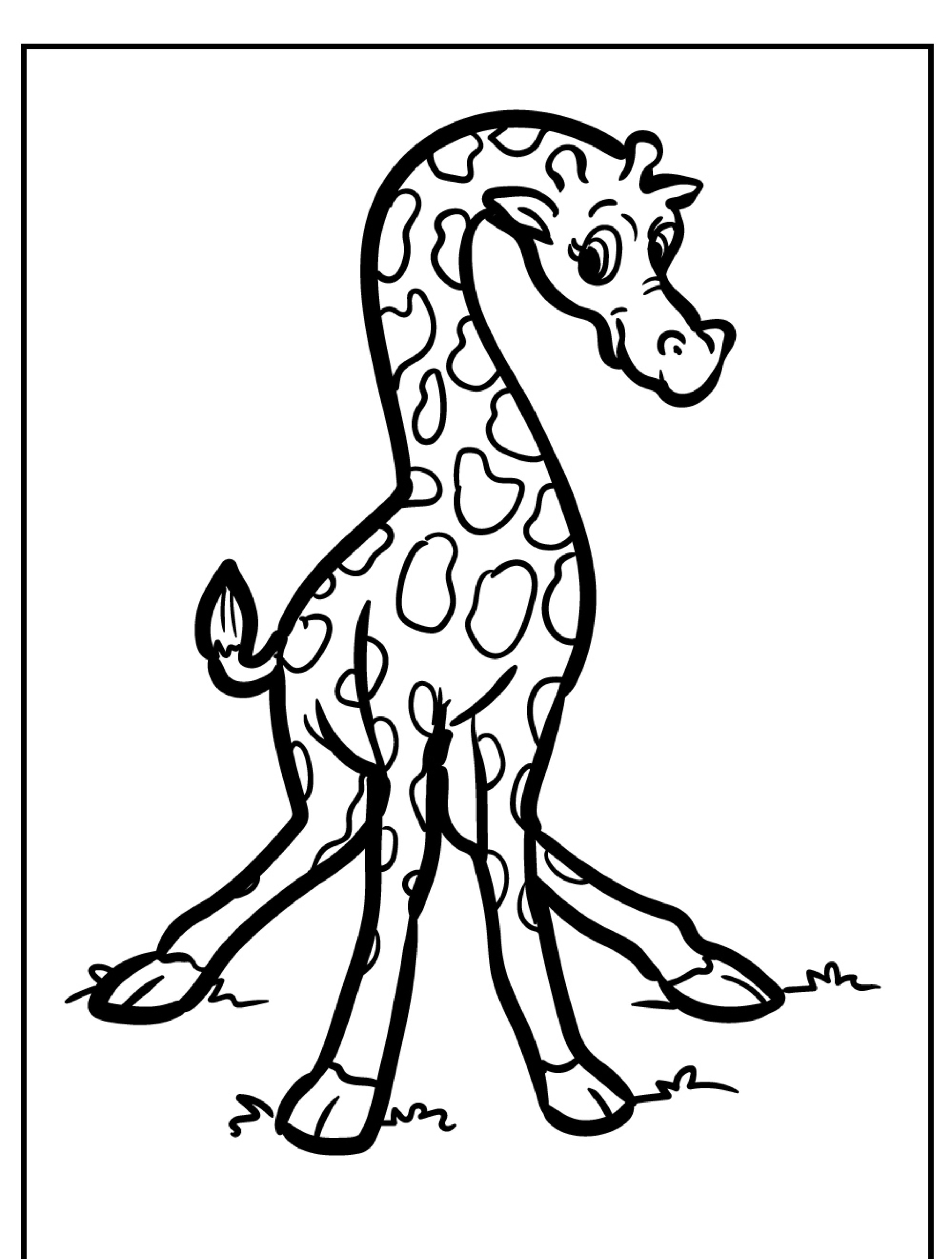 Uma girafa de desenho animado com pernas torcidas e emaranhadas está na grama, pronta para você colorir. Desenho divertido para todas as idades!