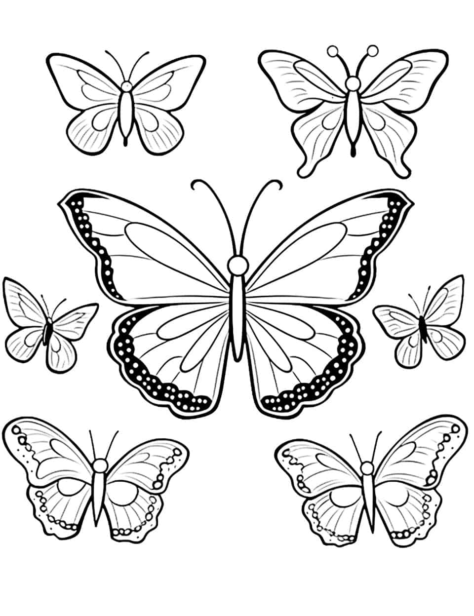 Desenho em preto e branco de várias espécies de borboletas com padrões de asas detalhados, dispostos simetricamente, perfeitos para colorir. Para Colorir.