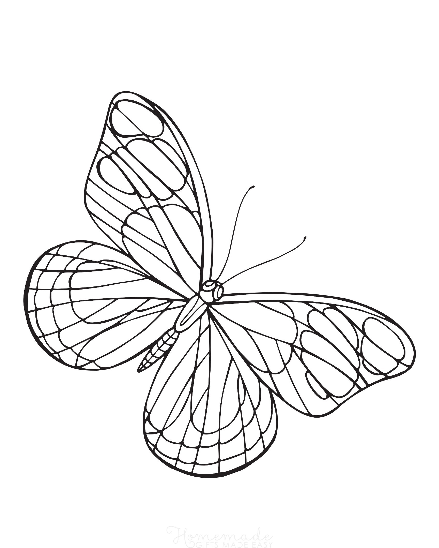 Ilustração de borboleta em preto e branco com padrões detalhados de asas em um fundo simples, pronta para colorir. Para Colorir.