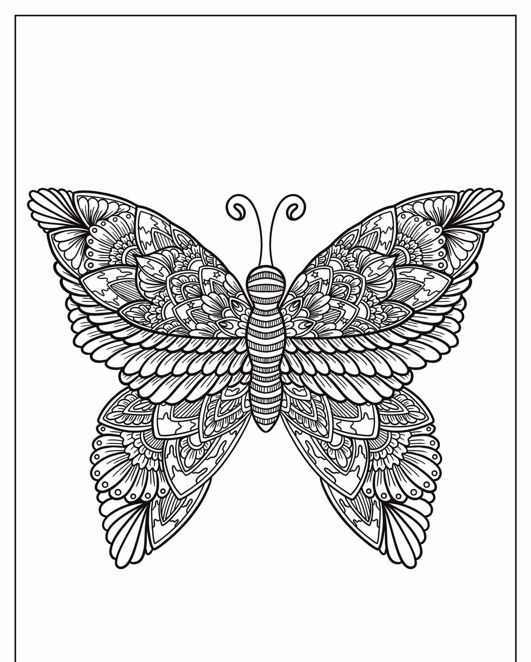 Desenho detalhado de uma mandala borboleta em preto e branco com padrões e desenhos complexos nas asas e no corpo, perfeito para colorir. Para Colorir.