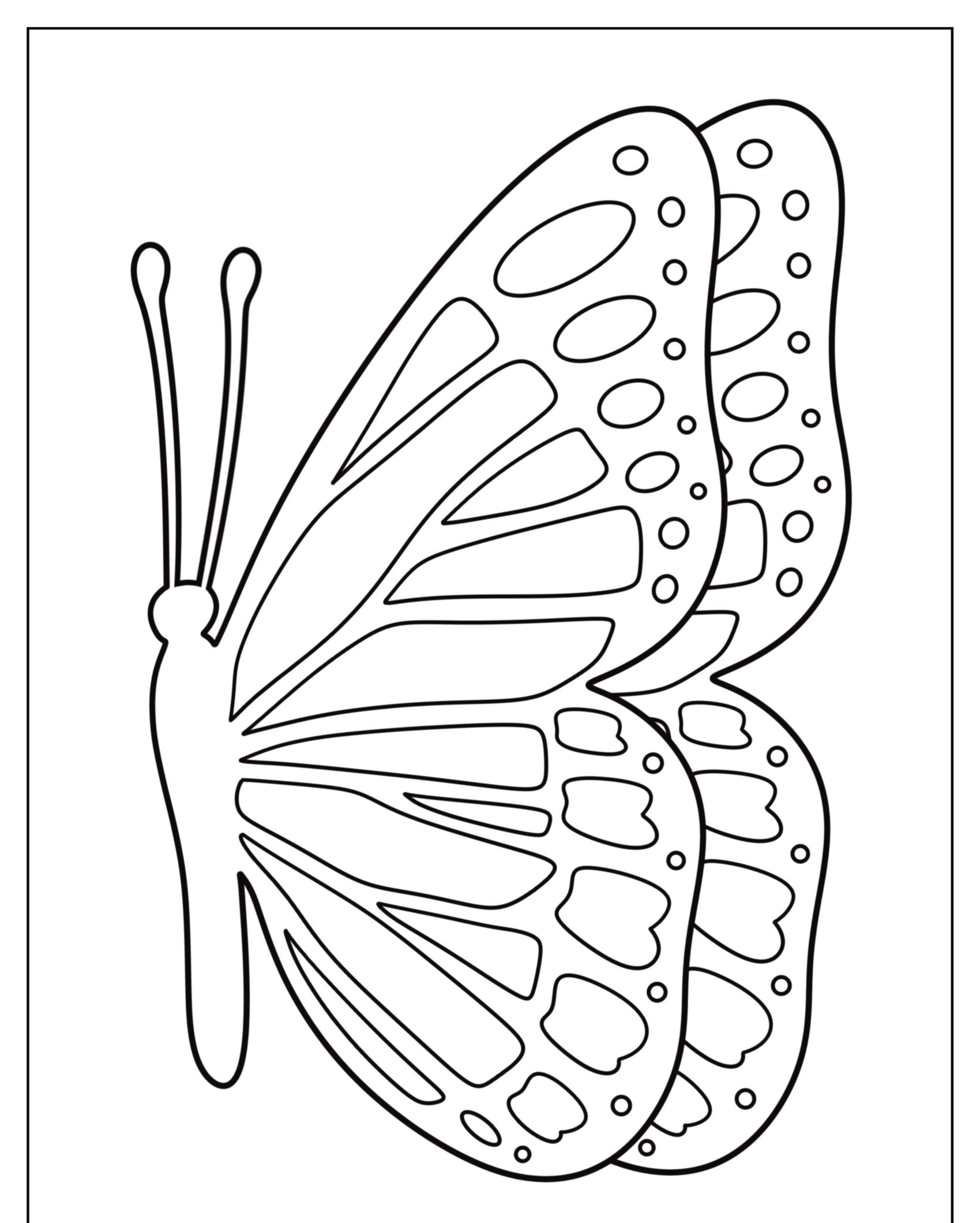 Contorno em preto e branco de uma borboleta com padrões detalhados de asas, perfeito para colorir. Para Colorir.