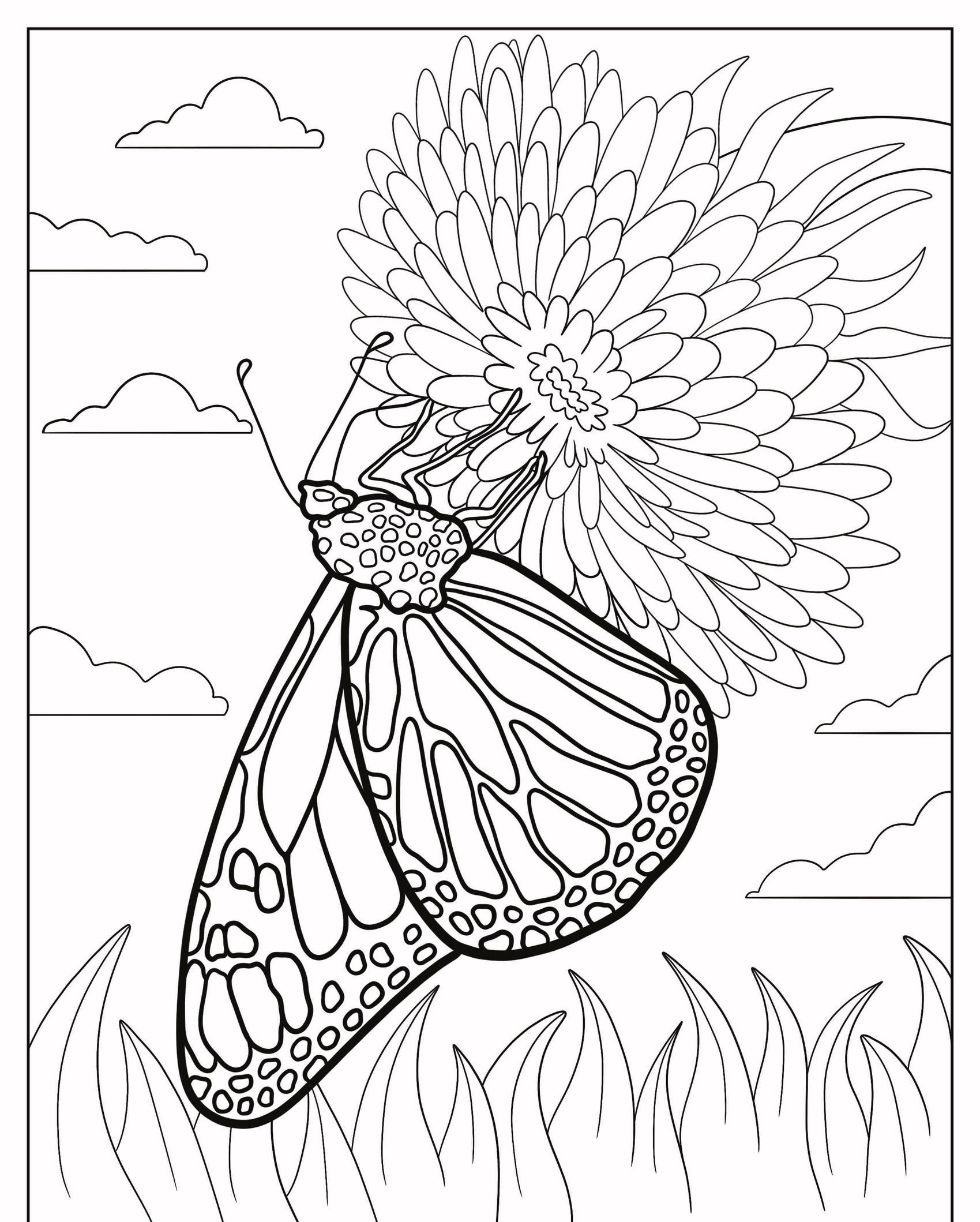 Um Desenho de Borboleta em uma flor em meio a grama e nuvens em uma página para colorir Para Colorir. Para Colorir.