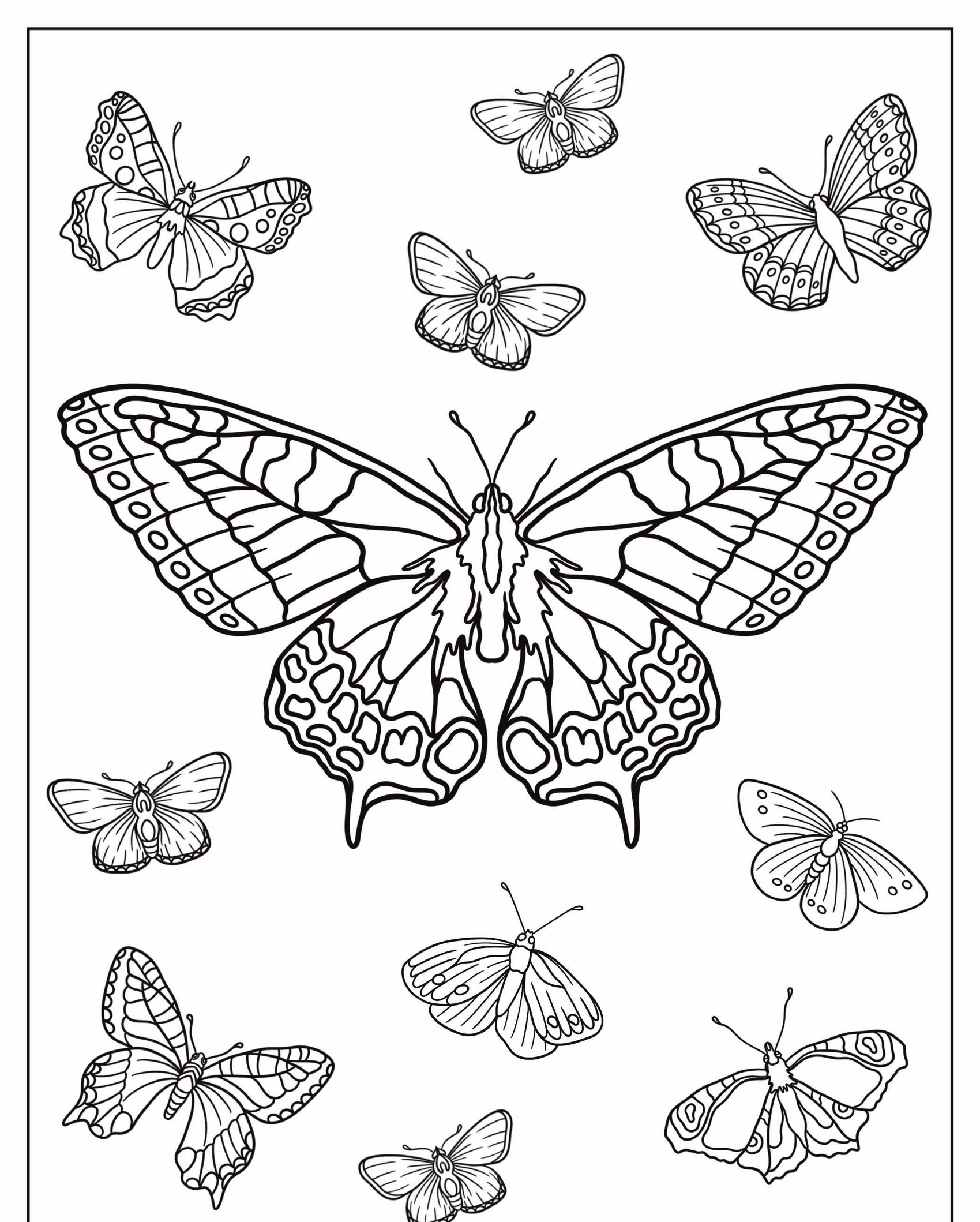 Desenho para colorir com vários designs detalhados de borboletas, com uma grande borboleta no centro cercada por outras menores. Para Colorir.