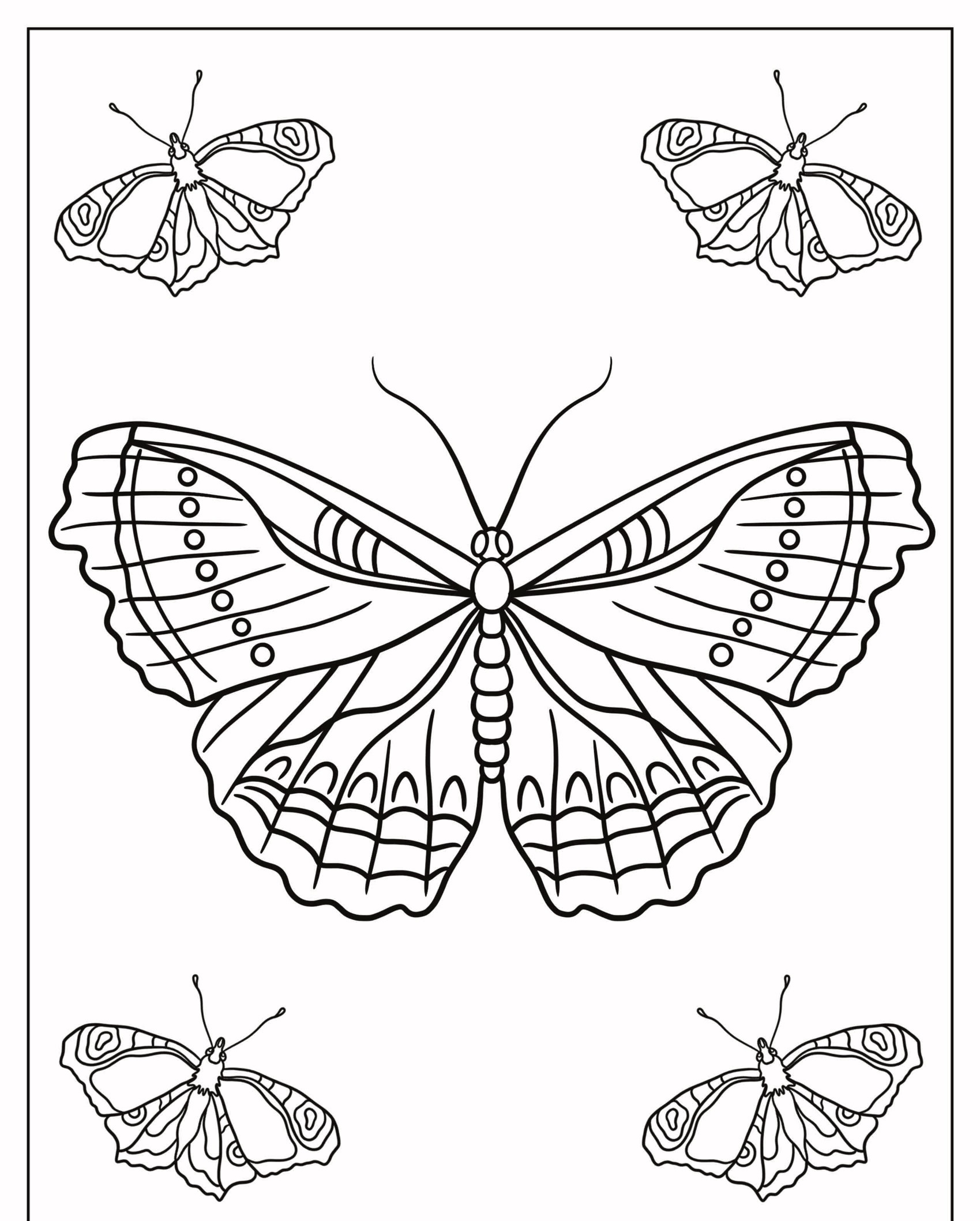 Cinco borboletas contornadas, uma grande no centro e quatro menores nos cantos, sobre um fundo branco, ideal para colorir para artistas iniciantes. Para Colorir.