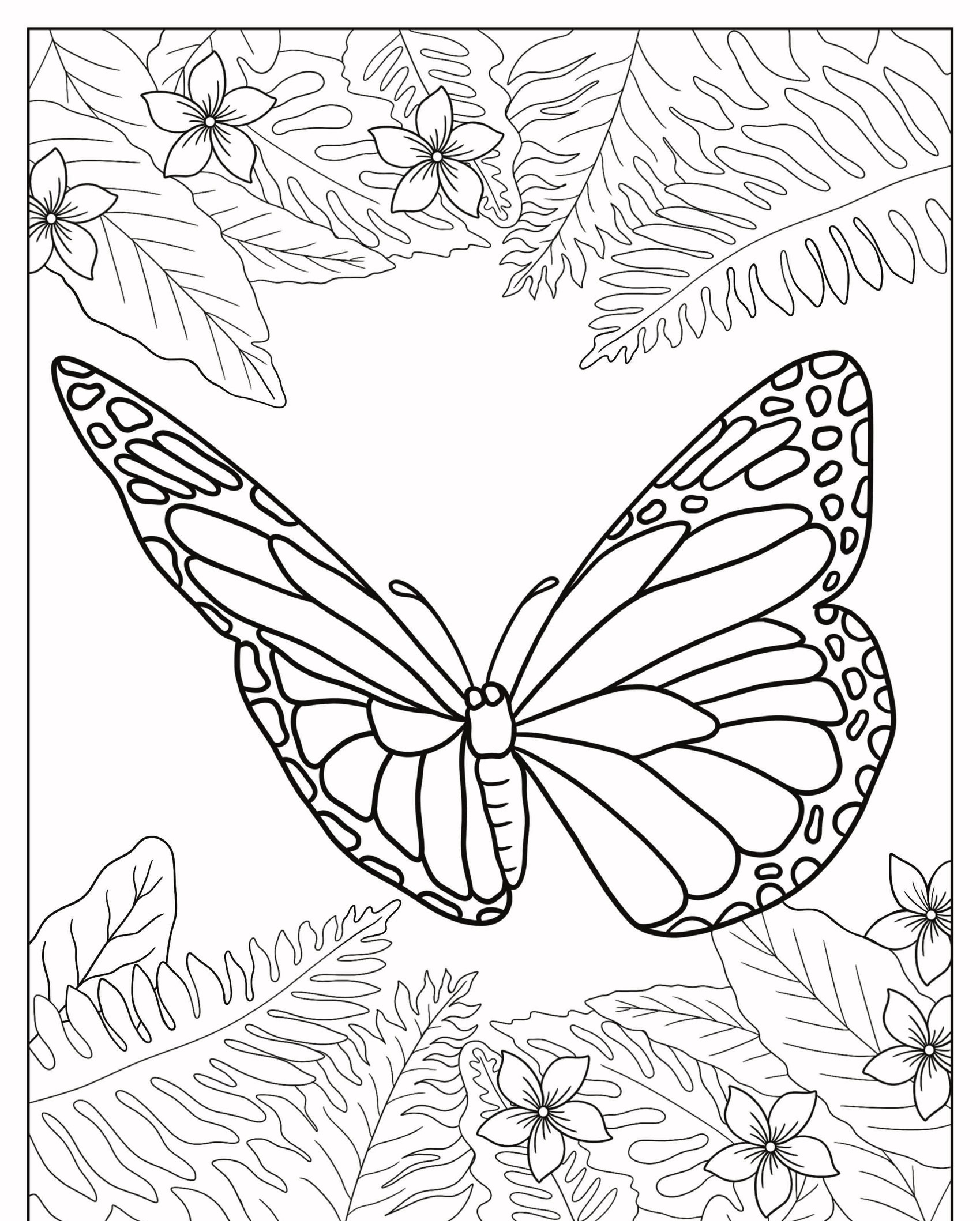 Esboço de um Desenho de Borboleta cercada por folhas de samambaia e flores em uma página para colorir, para colorir. Para Colorir.