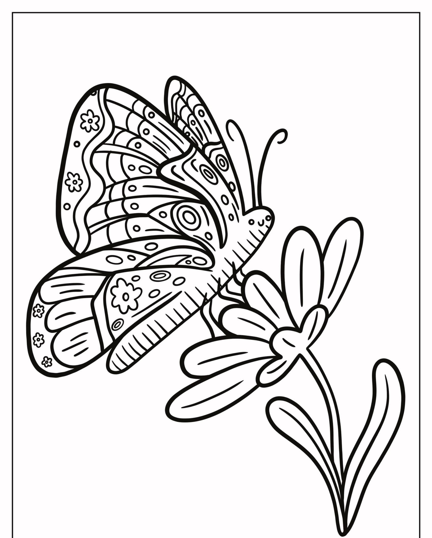 Um desenho detalhado para colorir apresentando uma borboleta pousada em uma flor com padrões complexos em suas asas. Para Colorir.