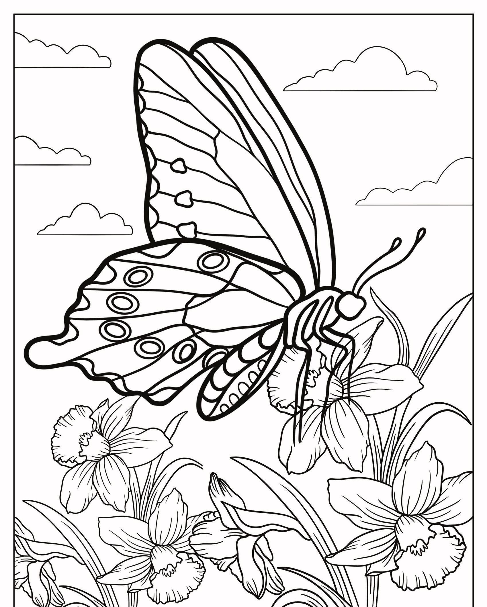 Uma página para colorir com um desenho de borboleta empoleirada em narcisos com nuvens ao fundo. Para Colorir.