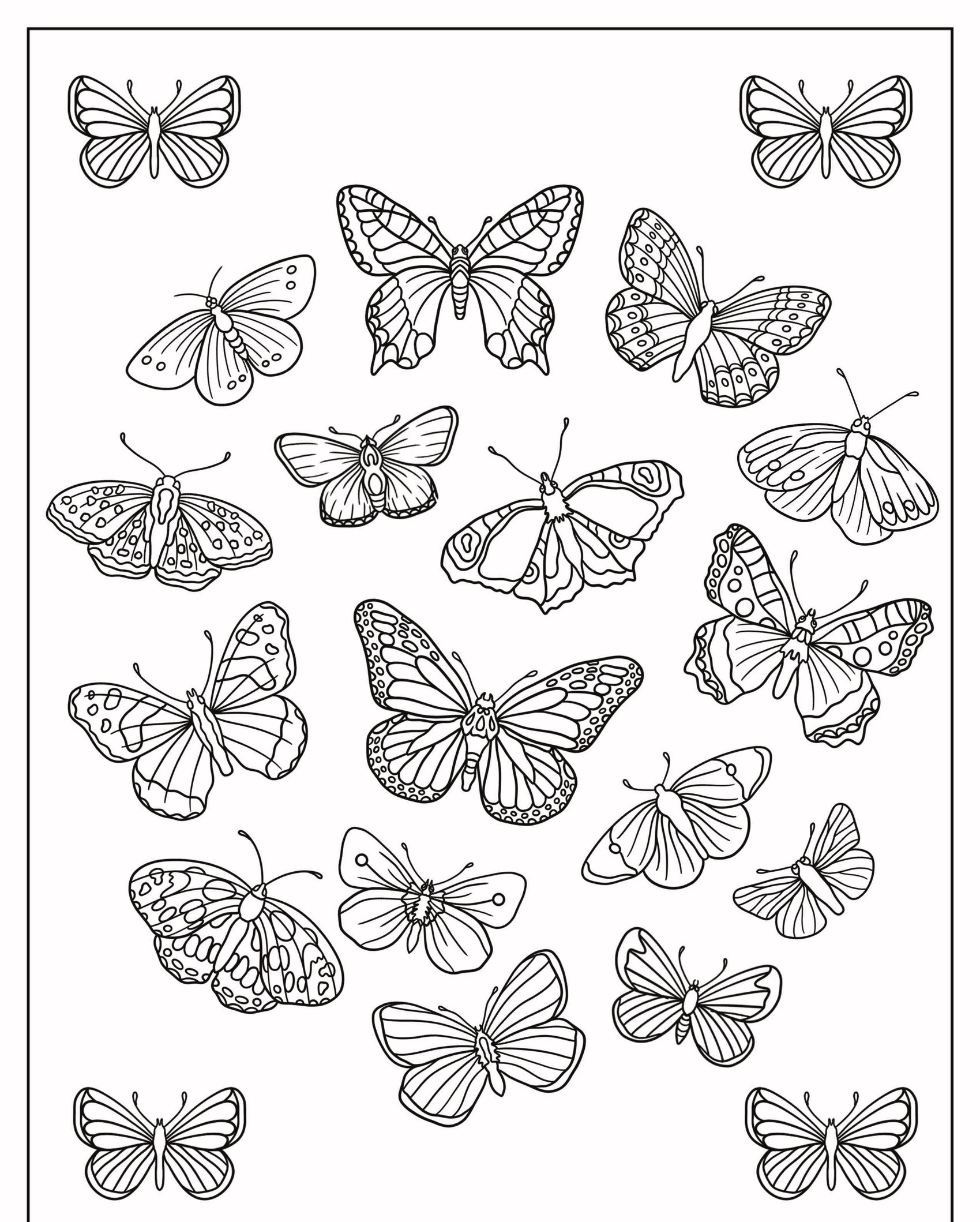 Ilustrações delineadas de várias borboletas em diferentes padrões e tamanhos em um fundo branco, perfeitas para uma sessão de colorir com desenhos de borboletas complexos. Para Colorir.