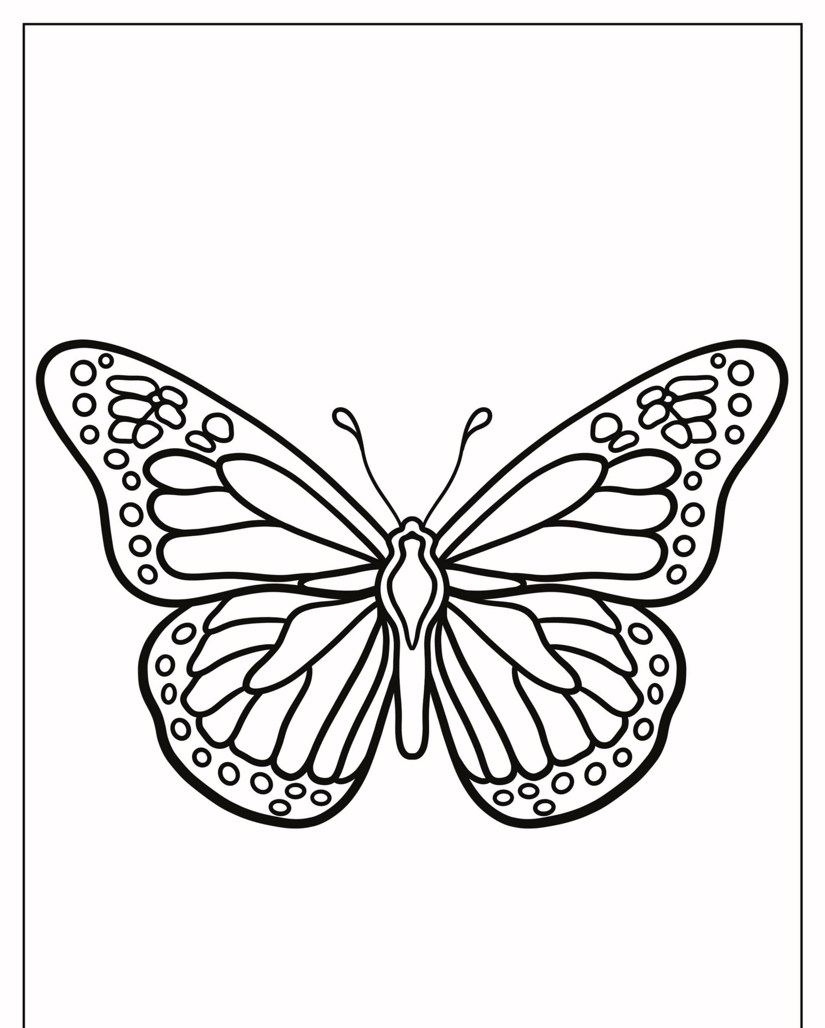 Desenho esboçado de uma borboleta com padrões intrincados de asas, perfeito para colorir. Para Colorir.