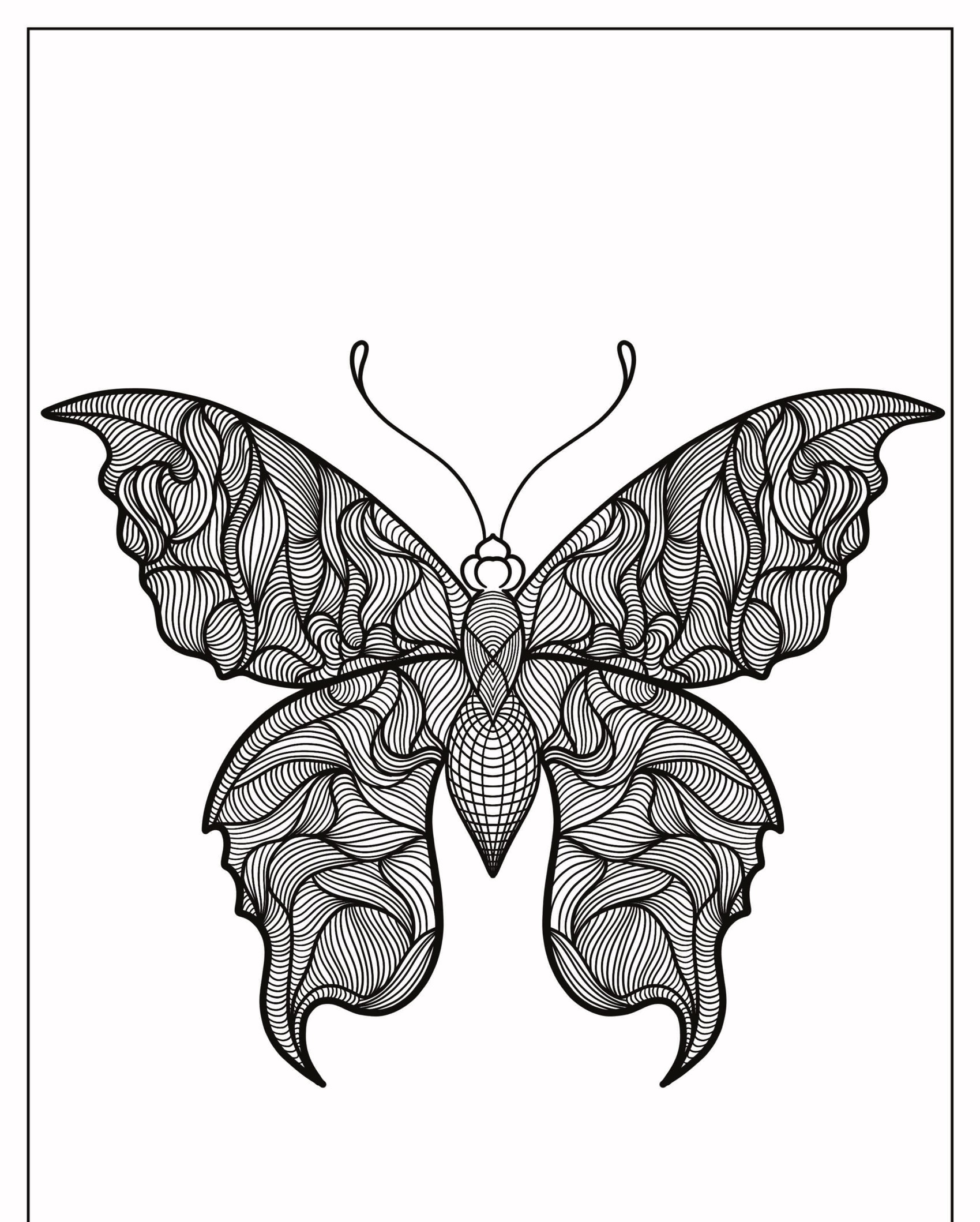 Desenho complexo de borboleta em preto e branco com padrões de asas detalhados e texturizados em estilo de arte linear. Para Colorir.