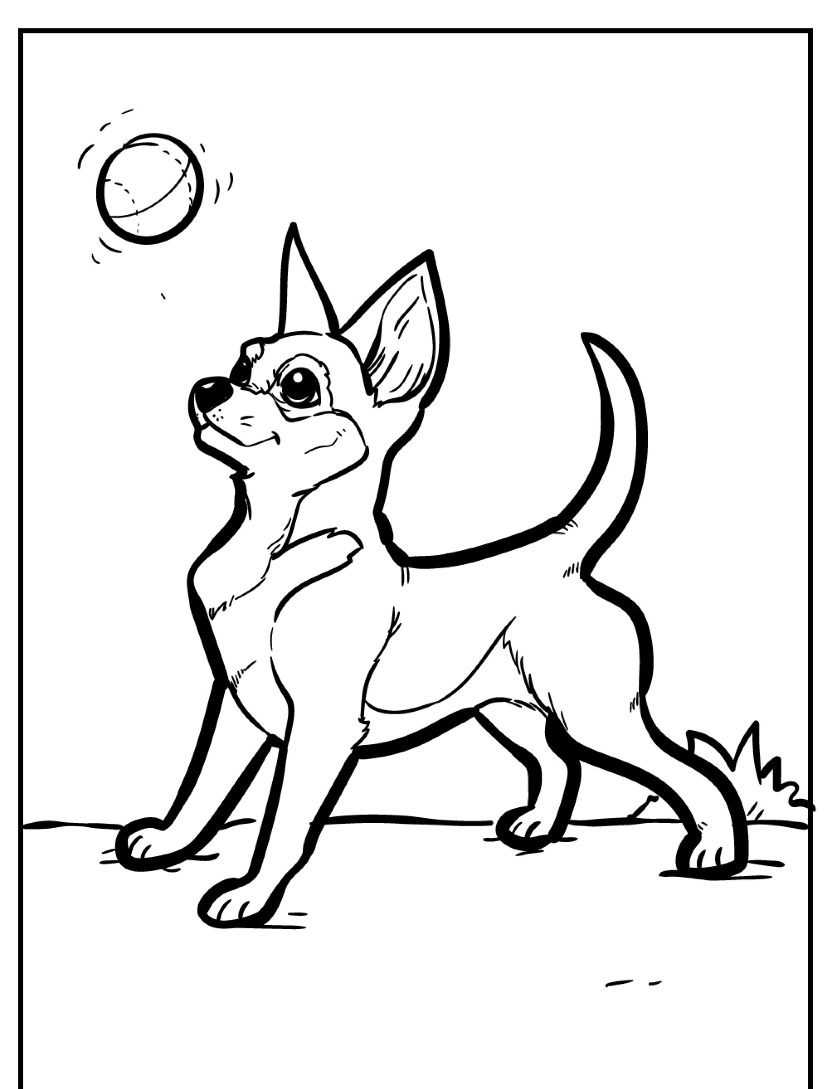 Um Chihuahua de desenho animado em pé, alerta, com uma bola pairando sobre sua cabeça.