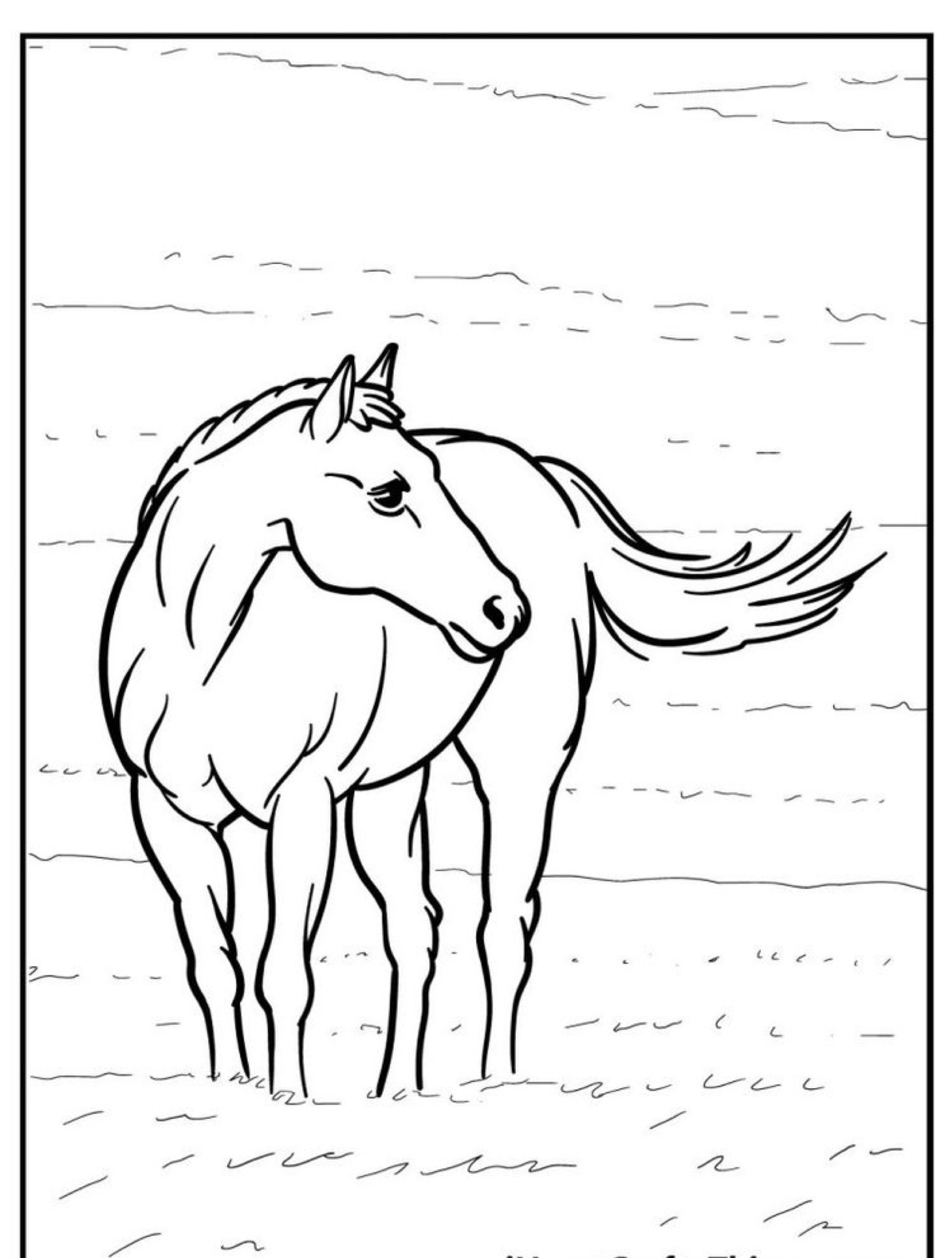 Desenho em preto e branco de um cavalo em pé, virado para a esquerda, com uma crina e cauda projetada, perfeito para colorir.