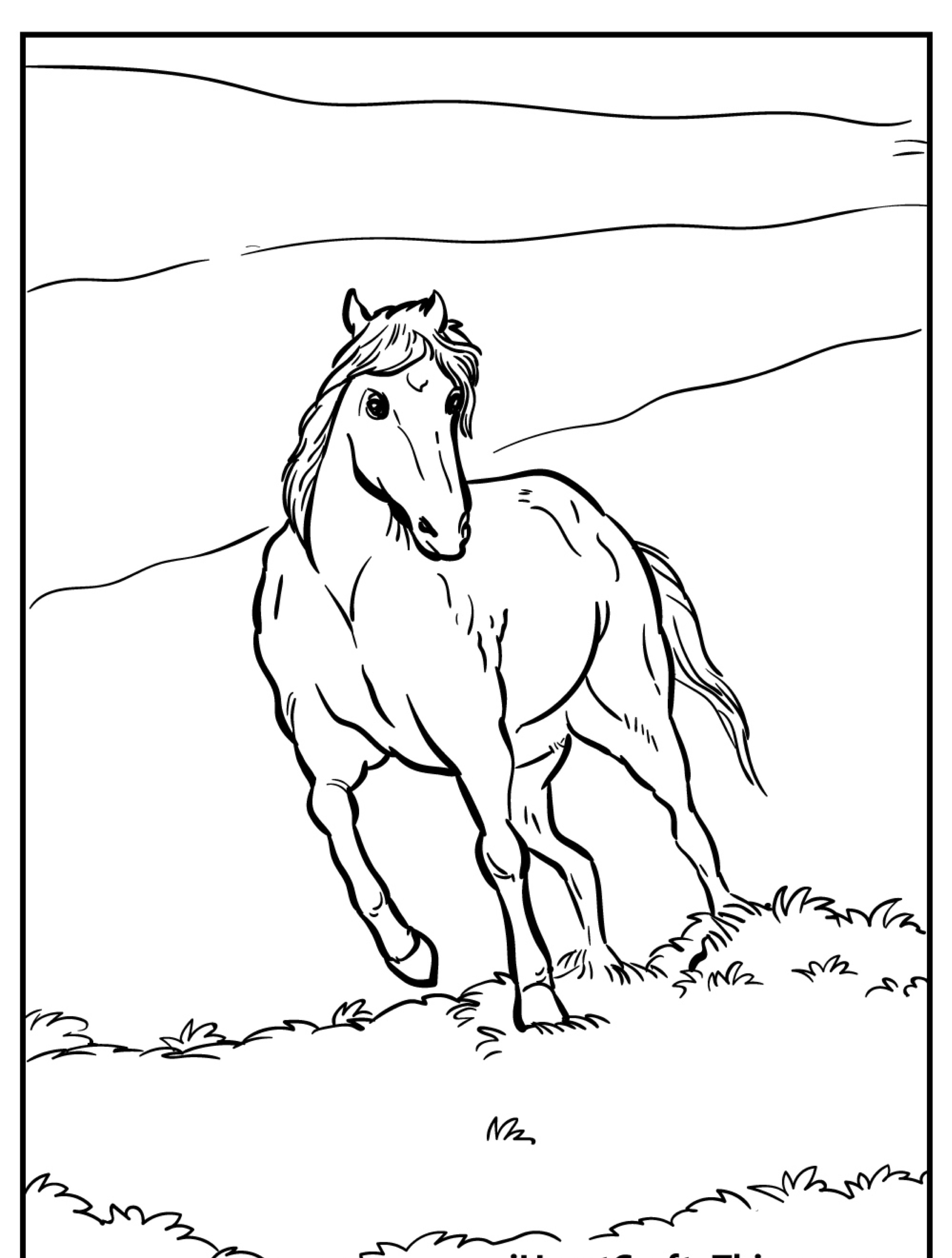 Desenho de cavalo para colorir